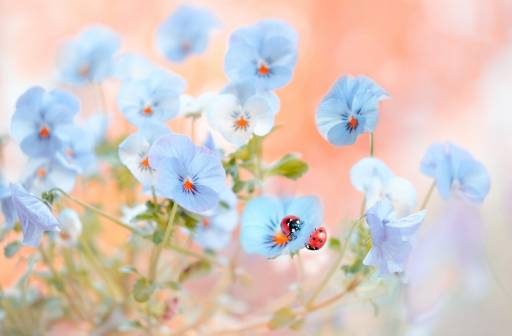 Makroprzestrzenie z Magdą Wasiczek - Grodzisk